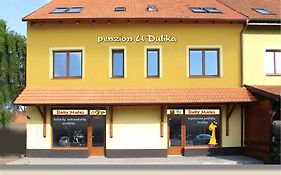 Penzion U Dulíka